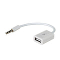 Akyga Adapter AK-AD-24 USB / MiniJack 15cm